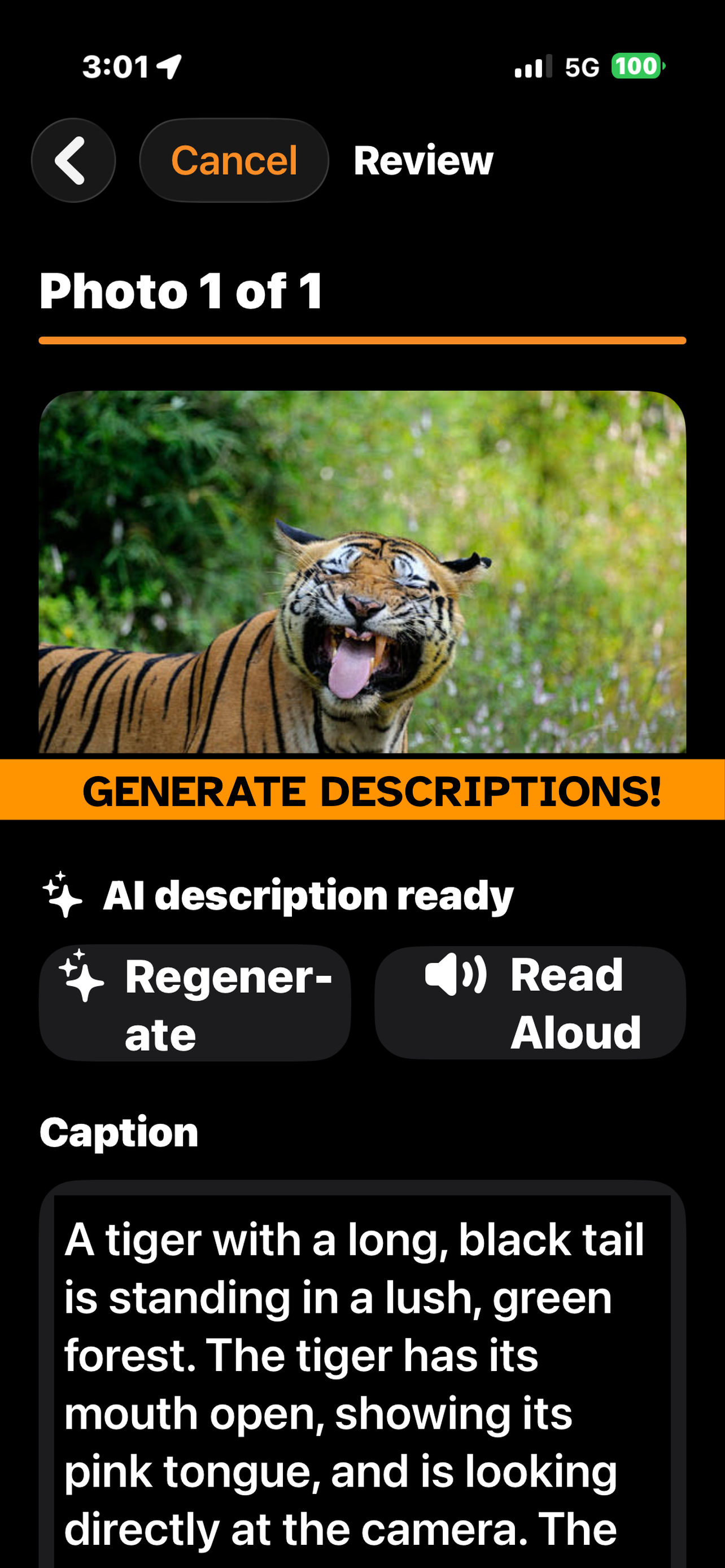 A generated description shown beneath a photo, with options to read it aloud or edit it